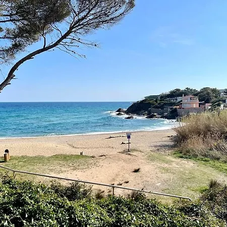 Miroir De La Mer, Vue Pied Dans L Eau *
